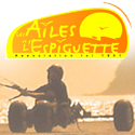 Les Ailes de l'Espiguette