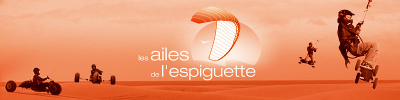 Les Ailes de l'Espiguette